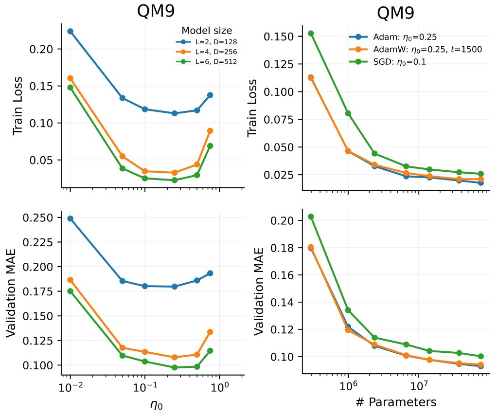QM9 results showing learning-rate transfer across GNN sizes and improving train loss and validation MAE as models scale